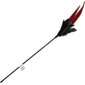 Zooplus Kattenhengel Mystic Long Feather - 1 stuk