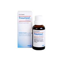 Traumeel S Druppels - 30 ml
