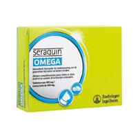 Seraquin Omega Katze