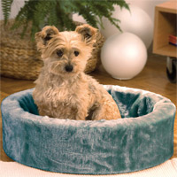 Teddy-Schaumstoffbett, Farbe: Grau