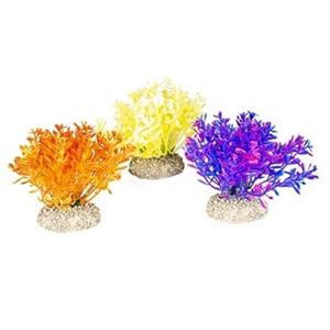 Aqua D'ella Plant glosso Gemengde kleuren