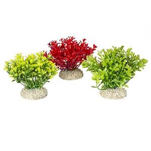 Aqua D'ella Plant glosso Gemengde kleuren groen/rood
