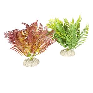 Aqua D'ella Plant Bolbitis M - Hoogte 17,5CM