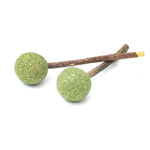 Aumüller Silver Vine Dentalspeelgoed Lolly 1 set 2 stuks