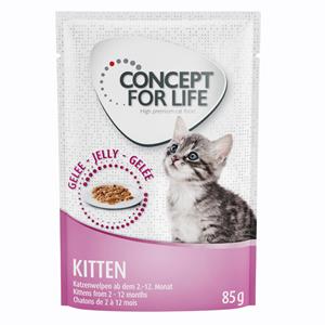 12x85g Kitten in Gelei Concept for Life Kattenvoer