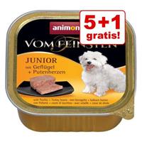 animonda Vom Feinsten Senior 6 x 150 g Hondenvoer - Gevogelte & Lam