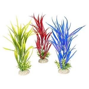 Aqua D'ella Plant amazon sword Gemengde kleuren