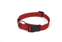 Beeztees - Halsband Hond - Nylon - Rood - 22-35 cm x 10 mm