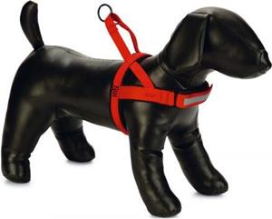 Beeztees Parinca Premium Comfort - Hondentuig - Nylon - Rood - 62-74 cm x 25 mm