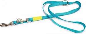 Beeztees Uni - Hondenriem - Nylon - Licht Blauw - 200cmx20mm