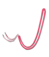 Waldhausen Longierhilfe > rot/grau