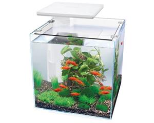 Superfish Qubiq 30 Pro Aquarium 30L - Wit met Dimbare LED & Biofilter, Elegant Design
