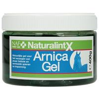 Naturalintx Arnica Gel 400g