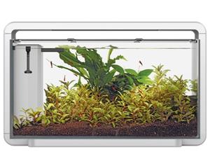 Home 30 Wit - Aquascaping Aquarium