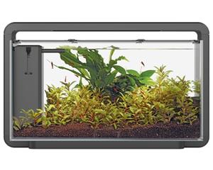 Home 30 Zwart - Aquascaping Aquarium