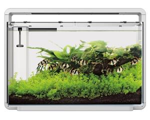 Home 65 Wit - Aquascaping Aquarium