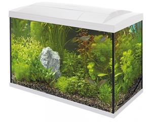 Superfish Start 150 Tropical Kit Wit - 146L Compleet Aquarium Set met LED en Heater