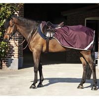 Horseware Amigo Ripstop Ausreitdecke