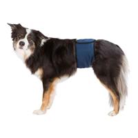 Incontinentie Plasband Voor Reuen - Hondenhulpmiddelen - 37-45 cm Donkerblauw S-M