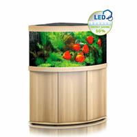 Trigon 350 LED SBX Helles Holz