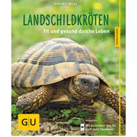 Landschildkröten