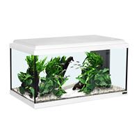 Aquarienset LED weiß