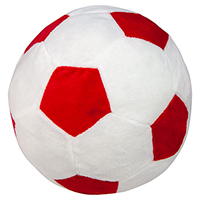 Procyon Indoor-voetbal