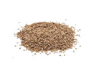 Strooivoer - Gepelde Zonnebloempitten - 2,5 kg