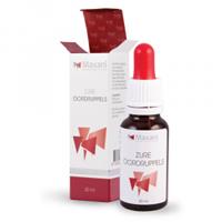 Maxani Saure Ohrentropfen für den Hund 20 ml