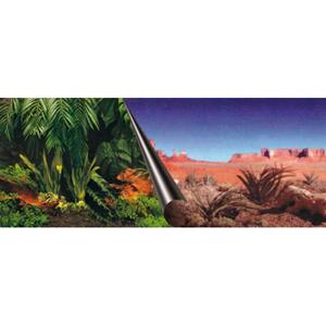 Foto Achterwand Jungle & Dessert 30x60cm