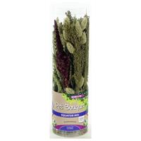 esve Pet Bouquet Koker Equator - Vogelsnack -