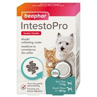 Beaphar IntestoPro Tabletten für Hund und Katze 20 tabletten