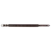 HUNTER Hondenhalsband Virginia Rose, bruin