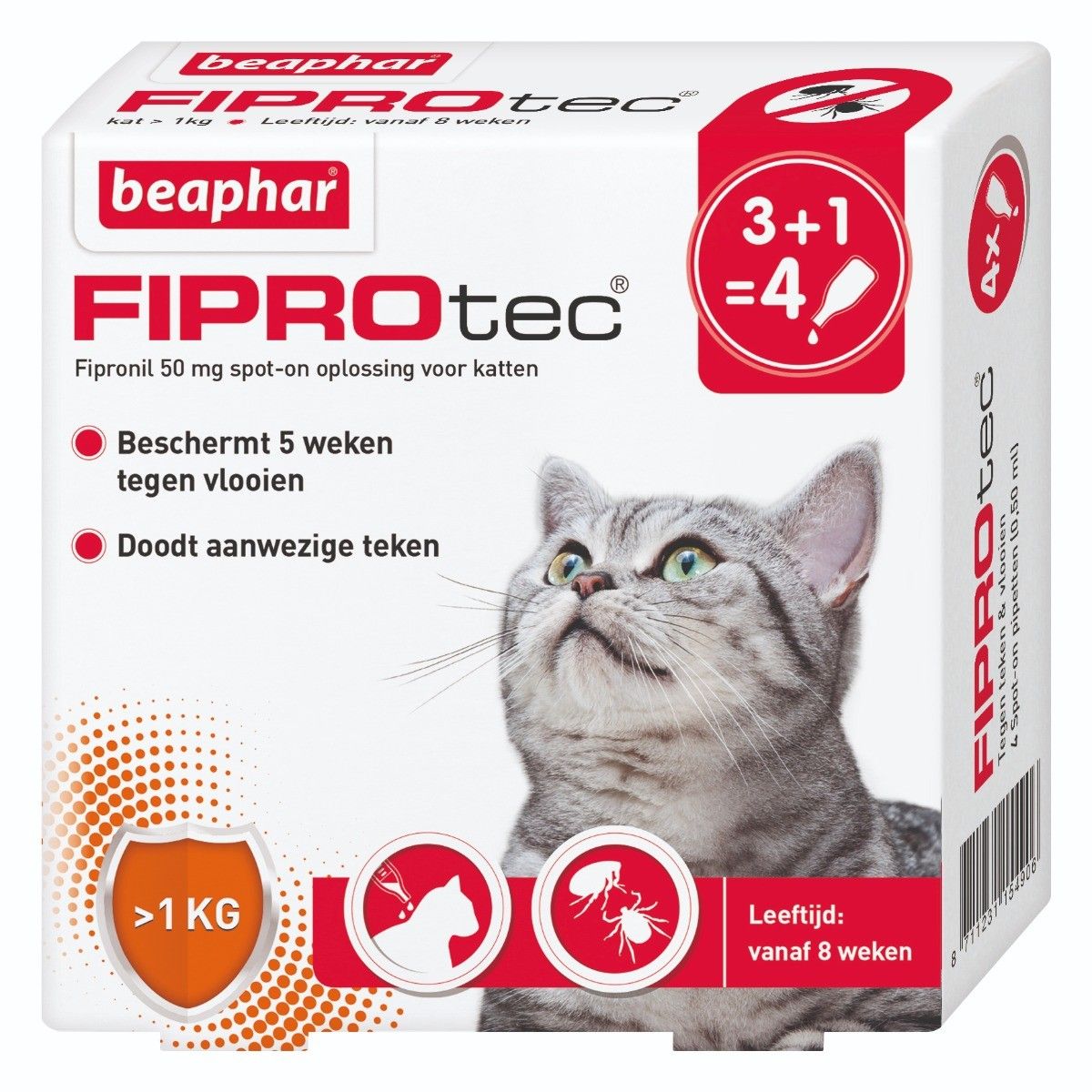 Beaphar Fiprotec Spot-On kat 3+1 pipetten