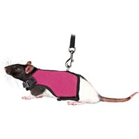 TRIXIE softtuig met riem voor ratten assorti