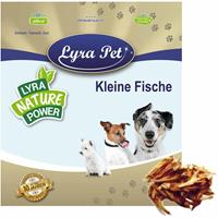 LYRA PET 10 kg  Kleine Fische - 
