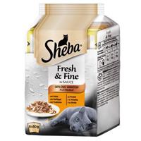 Sheba Megapack  Fresh & Fine Kattenvoer 6 x 50 g - Tonijn & Zalm