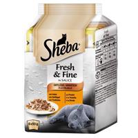 Sheba Délices Du Jour Selectie in Gelei/Saus Kattenvoer 6 x 50 g - Met zalm en tonijn in saus