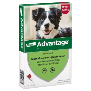 Advantage Nr. 250 vlooienmiddel (10 tot 25kg) hond Per verpakking