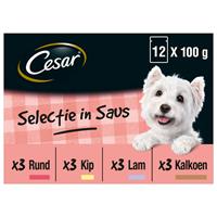 Cesar Pouch Multipack Selection In Saus - Hondenvoer - 12 stuks