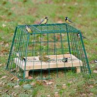 Beschermkooi maxi CJ Wildlife CJ Wildbird - Cj wildbird