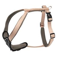 Fehlt Hundegeschirr Professional Comfort beige, Breite: ca. 15 mm, Bauchumfang: ca. 30 - 35 cm