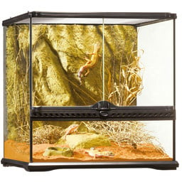 Exo Terra Glas Terrarium met achterwand 45 x 45 x 45 cm