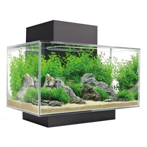 Fluval Edge I 2.0| 23L |  43 x 26 x 36,8CM Aquarium Geleverd met houder, filter en verlichting