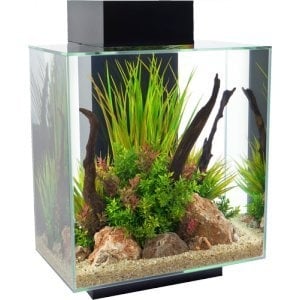 Fluval Edge ii 2.0 | 46L | 43 x 26 x 58CM Zwart Aquarium Wordt gelverd met houder, filter en verlichting