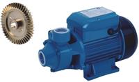 Aquaforte AF750 Zelfaanzuigende Drukpomp - 550W, Messing Waaier, 2700L/u, 45m Opvoer