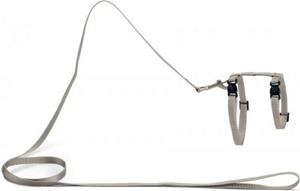Beeztees Uni - Kattentuig - Nylon - Lichtgrijs - 27-45 cm