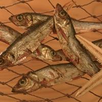 alsa-nature Oostzee haring, 250 g