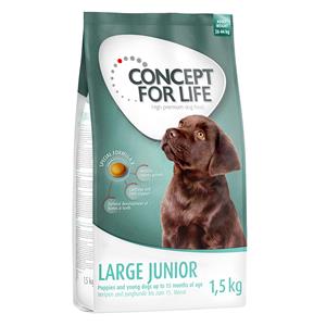 Concept for Life Extra voordelig: 1,5 kg  Hondenvoer - Large Junior (Nieuw)