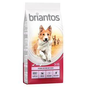 14 kg Briantos droogvoer + Dental Snack Mini gratis! - Adult Zalm & Rijst + Dental Snack Mini